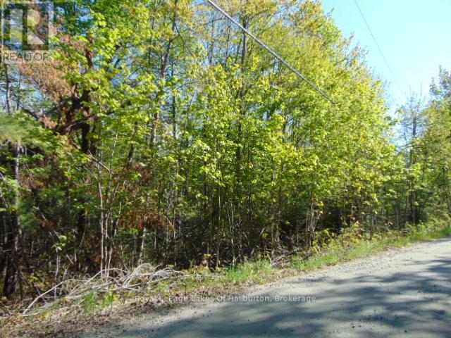 LOT 11 PLAN 580 NORTH DRIVE, Dysart et al, Ontario