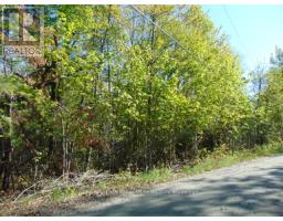 LOT 11 PLAN 580 NORTH DRIVE, Dysart et al, Ontario
