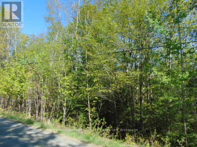 Lot 11 Plan 580 North Drive, Dysart Et Al, Ontario  K0M 1S0 - Photo 3 - X12898396