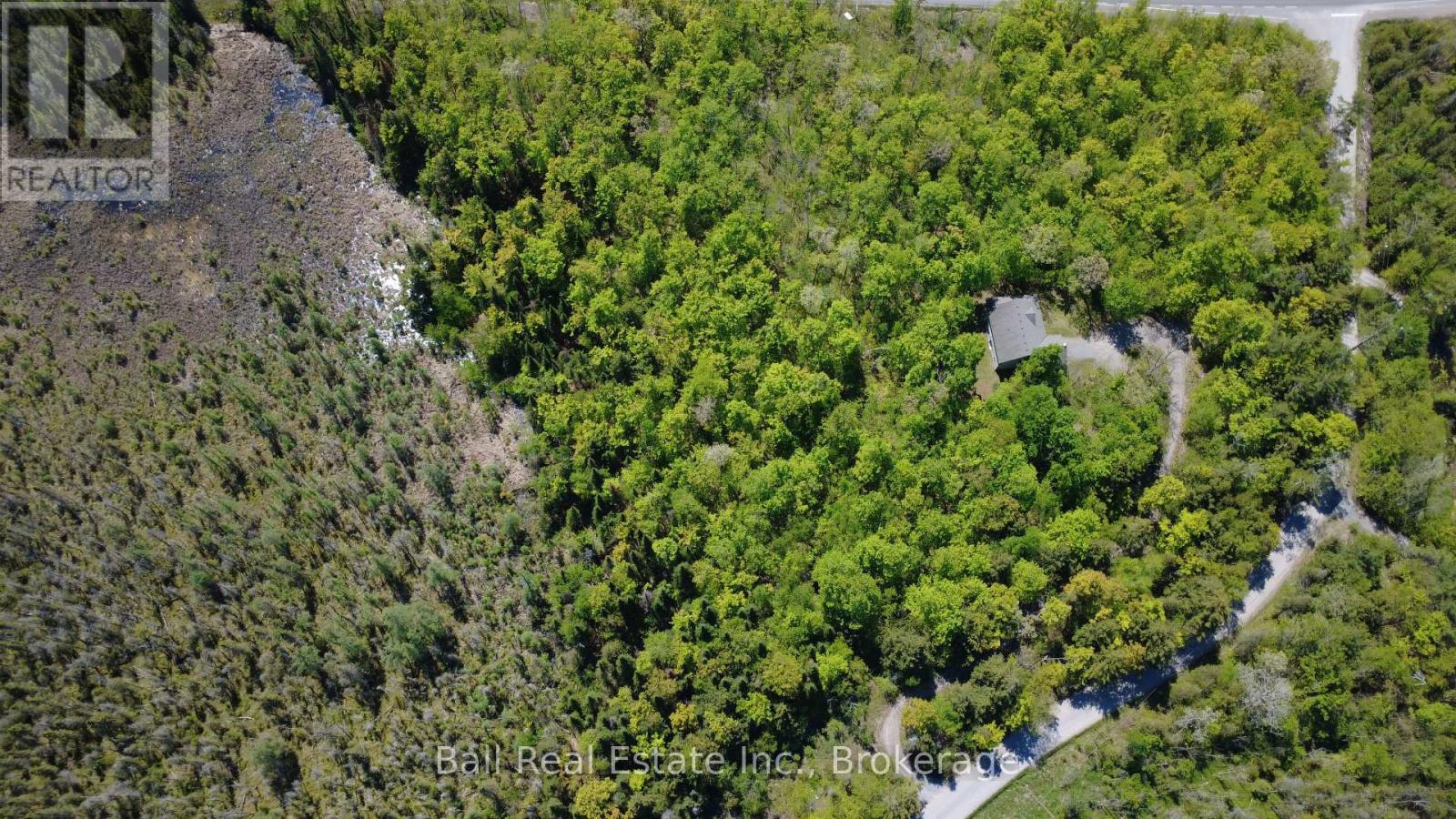 53 Coon Lake Road, North Kawartha, Ontario  K0L 2H0 - Photo 5 - X13175568