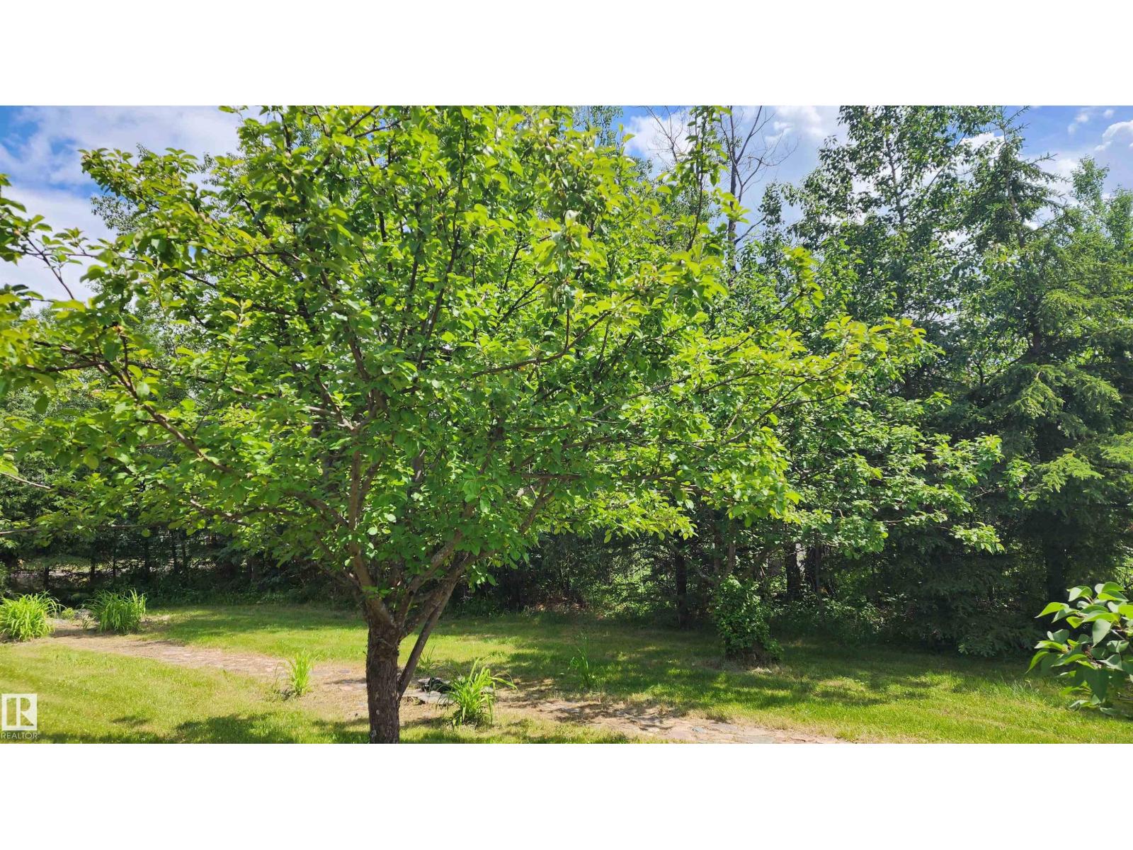 174 63303 Hwy 867, Rural Lac La Biche County, Alberta  T0A 2C0 - Photo 9 - E4490004