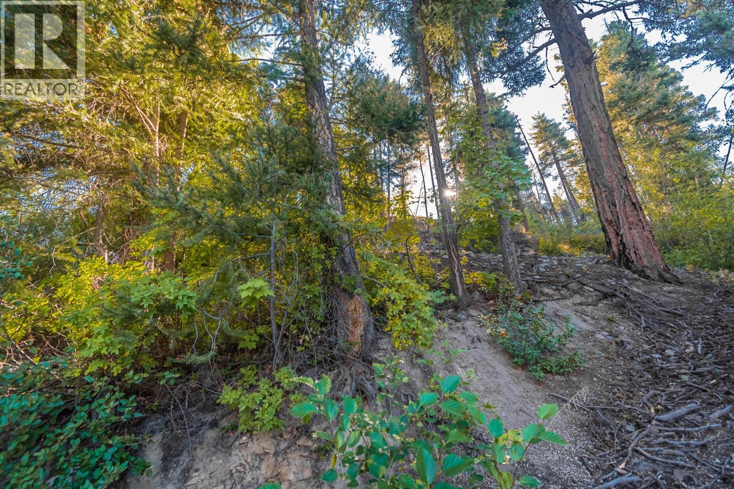 4431 Lakeview Road, Lillooet, British Columbia  V0K 1P0 - Photo 12 - 10359133
