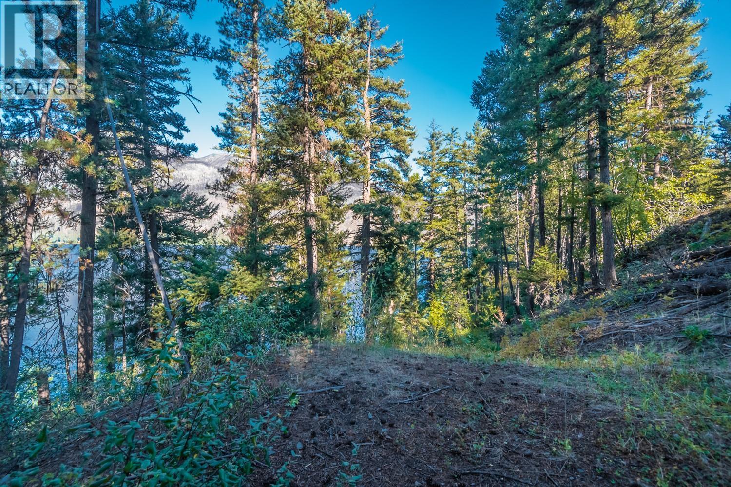 4431 Lakeview Road, Lillooet, British Columbia  V0K 1P0 - Photo 15 - 10359133