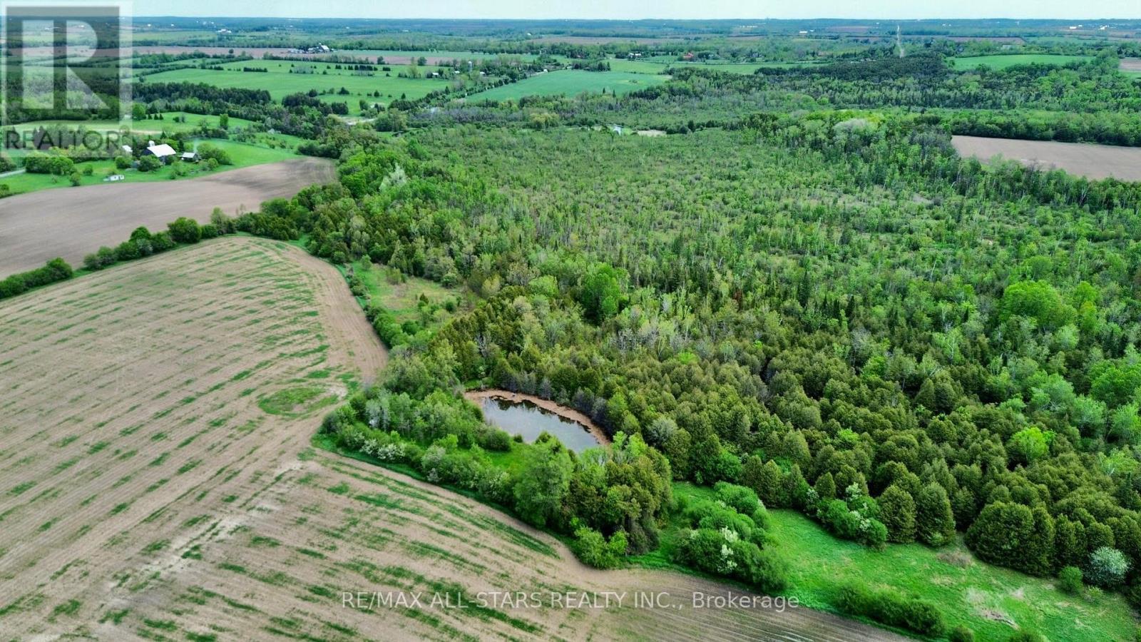 14629 Regional 1 Road, Uxbridge, Ontario  L9P 1R2 - Photo 5 - N13169888