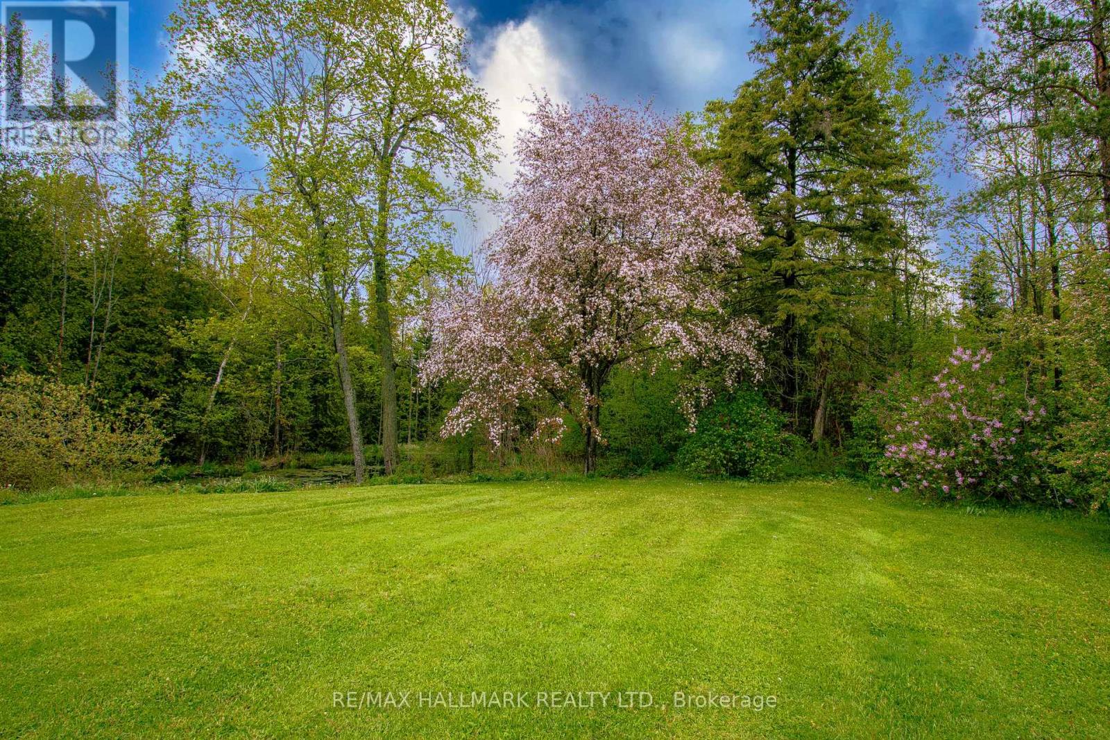 175 Concession 2 Road, Brock, Ontario  L0C 1H0 - Photo 40 - N13048176