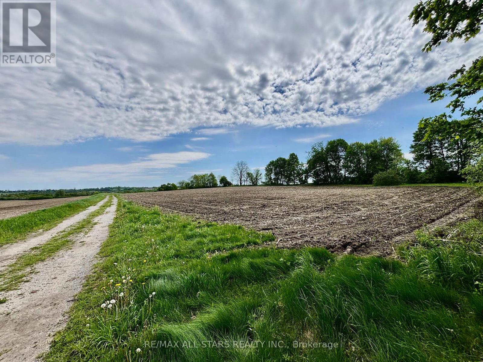 14629 Regional 1 Road, Uxbridge, Ontario  L9P 1R2 - Photo 8 - N13169888