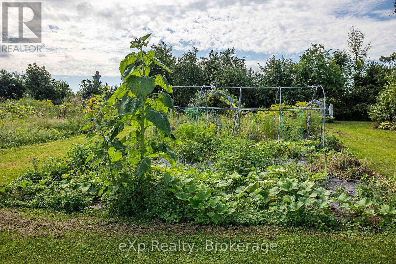1097 6 Highway, South Bruce Peninsula, Ontario  N0H 1X0 - Photo 28 - X13174706