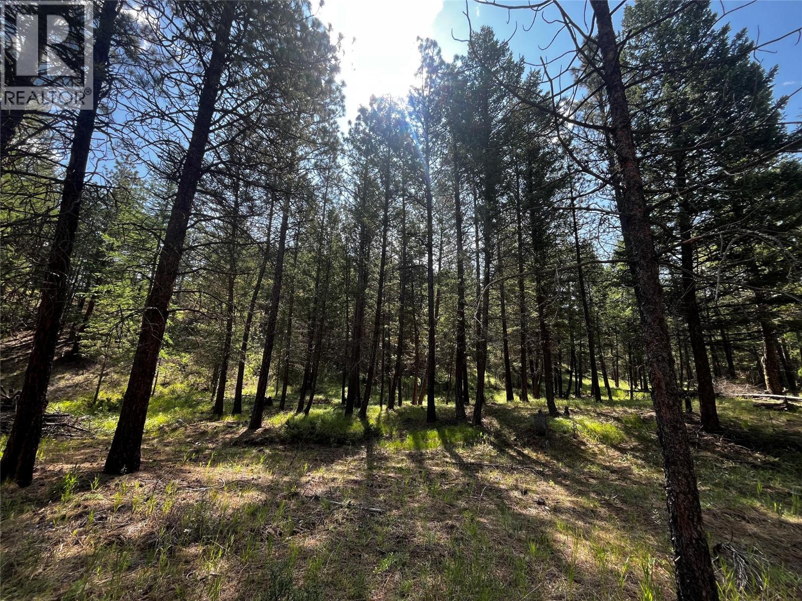 Proposed Lot 12 6145 Parnaby Road, Cranbrook, British Columbia  V1C 0C2 - Photo 3 - 10350739