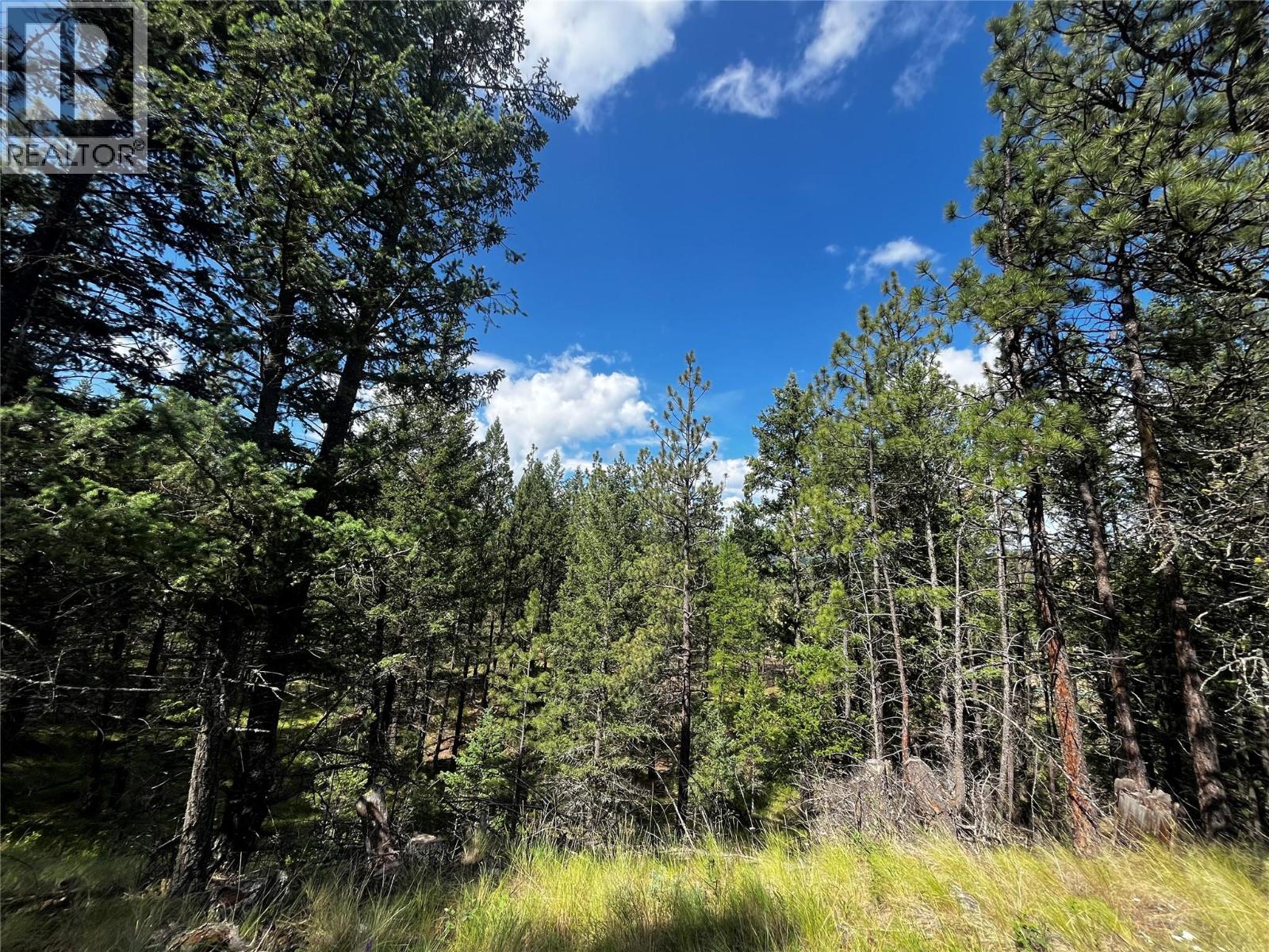 Proposed Lot 12 6145 Parnaby Road, Cranbrook, British Columbia  V1C 0C2 - Photo 5 - 10350739