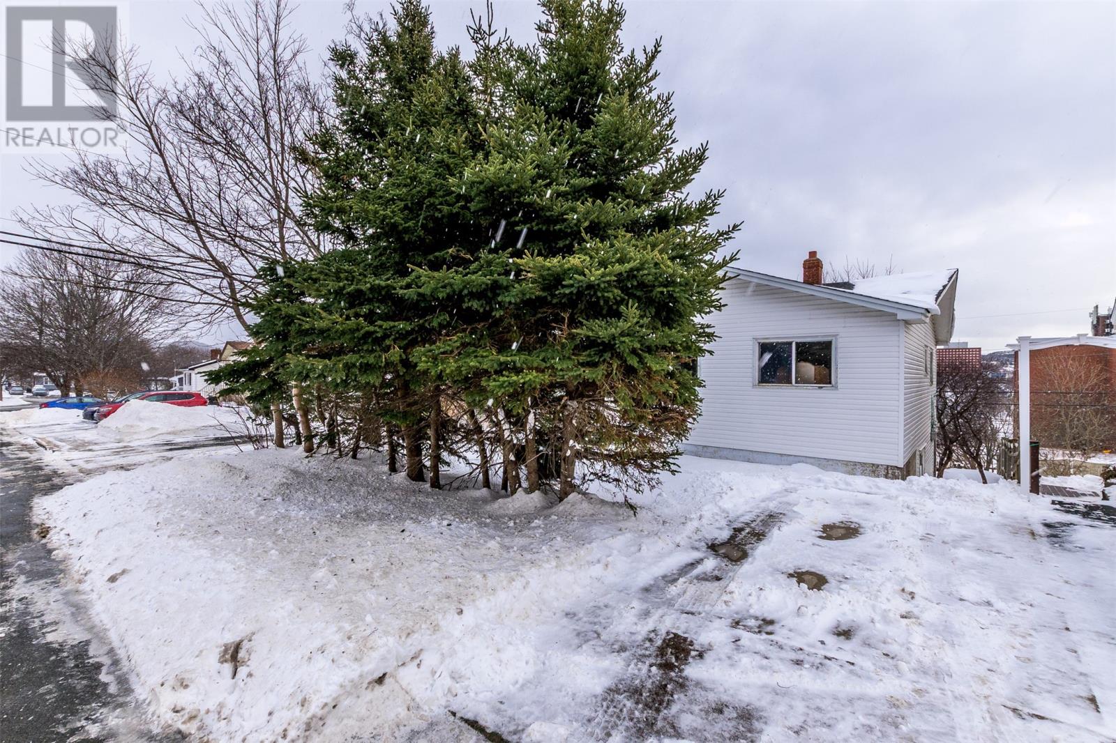 11 Taylor Place, St. John's, Newfoundland & Labrador  A1A 1L4 - Photo 5 - 1298081