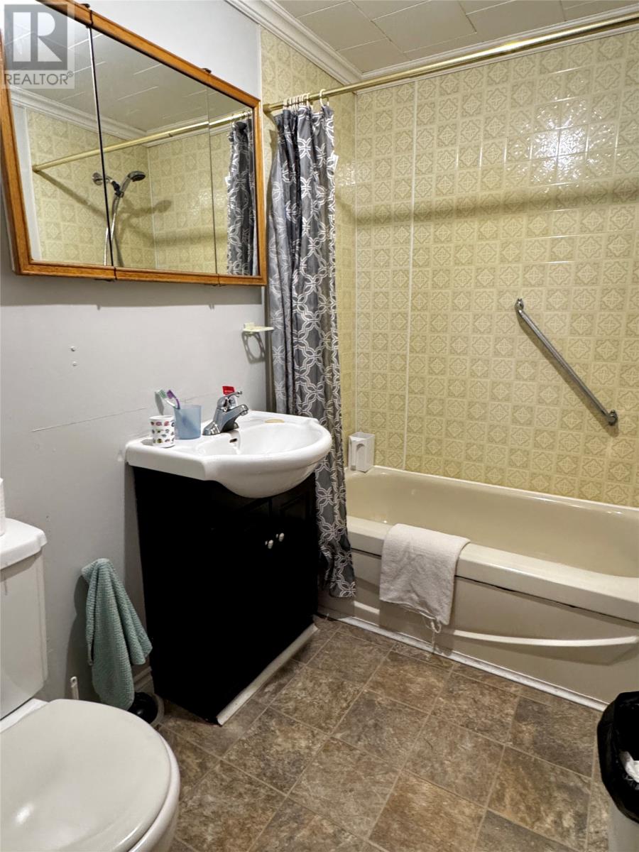 62 Main Street, Howley, Newfoundland & Labrador A0K 3E0 - Photo 17 - 1298047