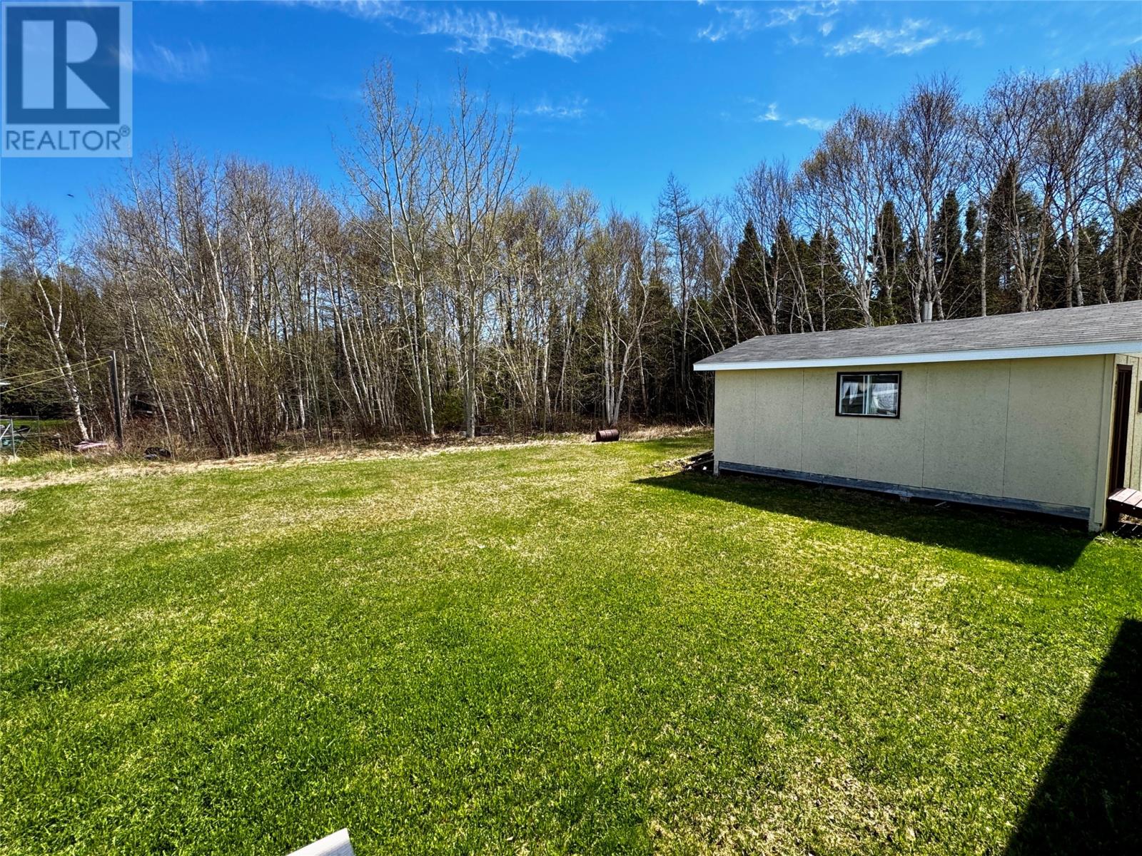62 Main Street, Howley, Newfoundland & Labrador A0K 3E0 - Photo 4 - 1298047