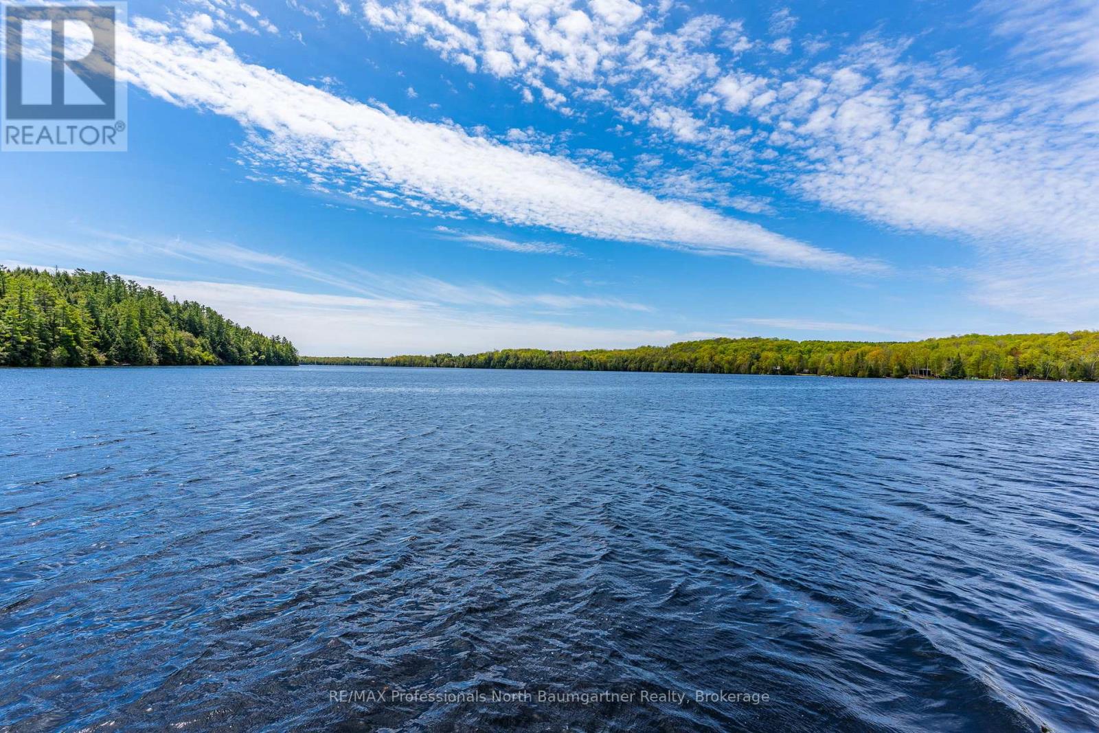 1029 Patchway Lane, Highlands East, Ontario  K0M 1S0 - Photo 41 - X13176124