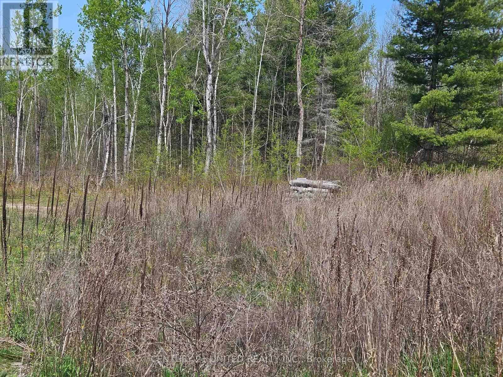14 Winter Road, Trent Hills, Ontario  K0K 3K0 - Photo 2 - X13144636