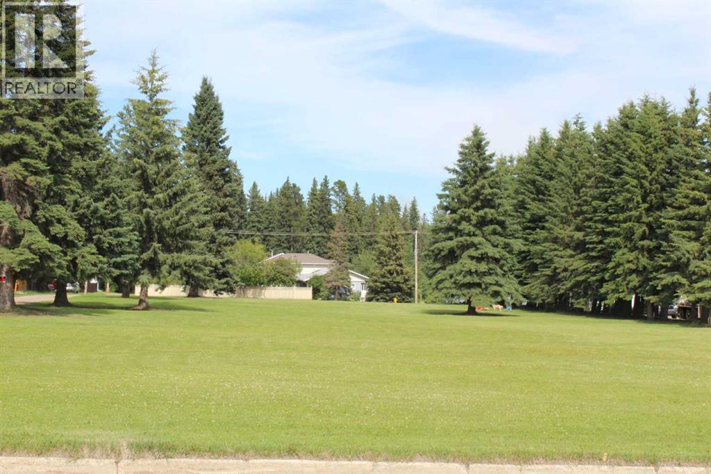4022 4 Avenue, Edson, Alberta  T7E 1B6 - Photo 4 - A2220047
