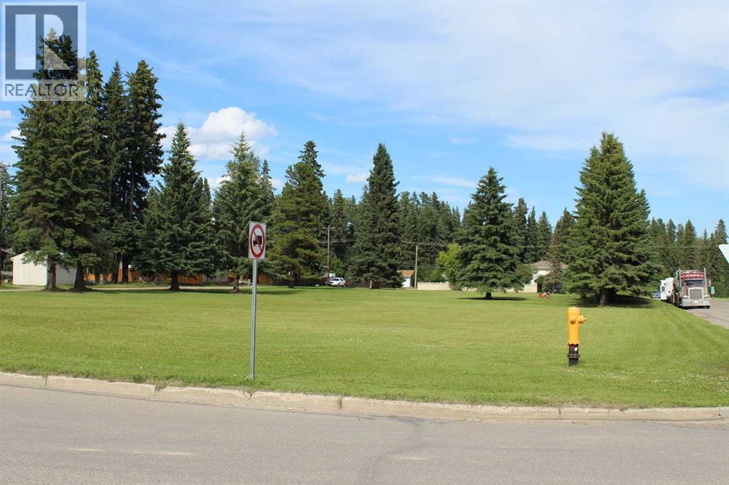 4022 4 Avenue, Edson, Alberta  T7E 1B6 - Photo 7 - A2220047