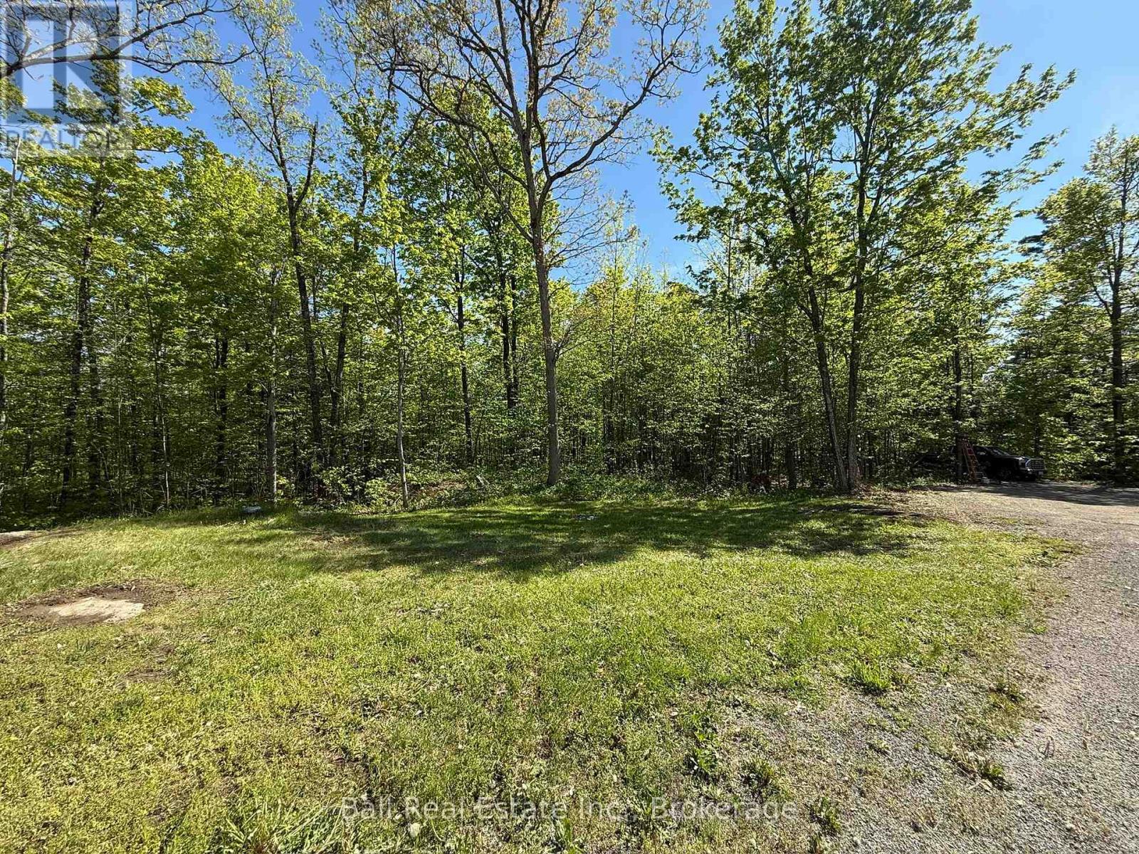 53 Coon Lake Road, North Kawartha, Ontario  K0L 2H0 - Photo 44 - X13175568