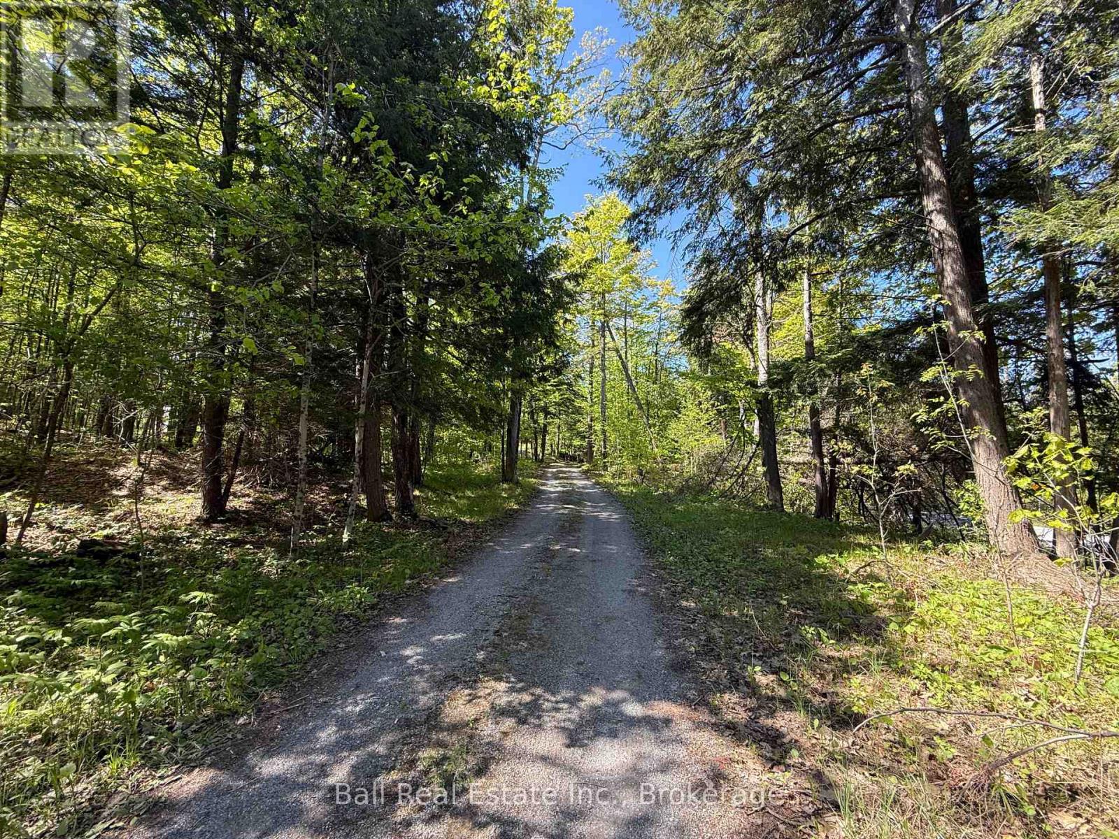 53 Coon Lake Road, North Kawartha, Ontario  K0L 2H0 - Photo 45 - X13175568