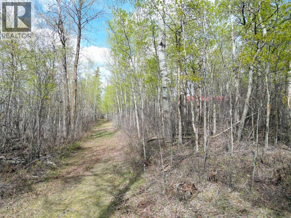 Lot 5 Bl 4, Rural Big Lakes County, Alberta  T0G 1E0 - Photo 10 - A2314561