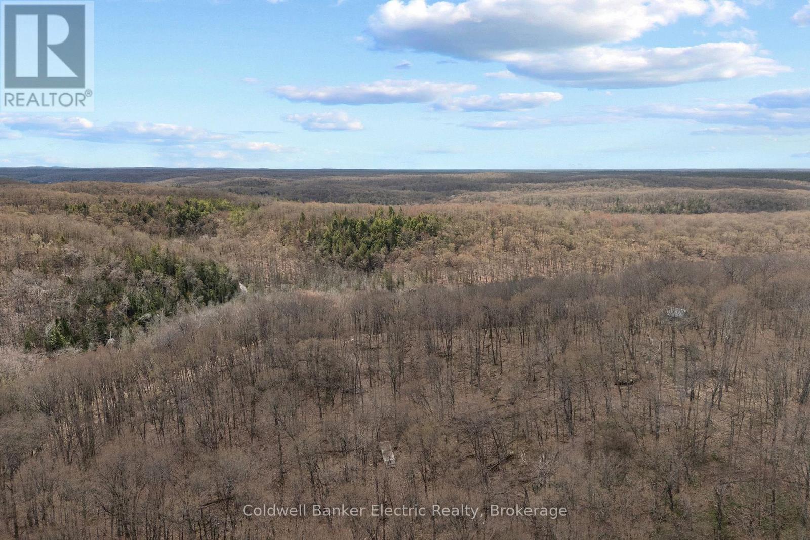 0 Irondale Road, Highlands East, Ontario K0M 2A1 - Photo 11 - X13176188