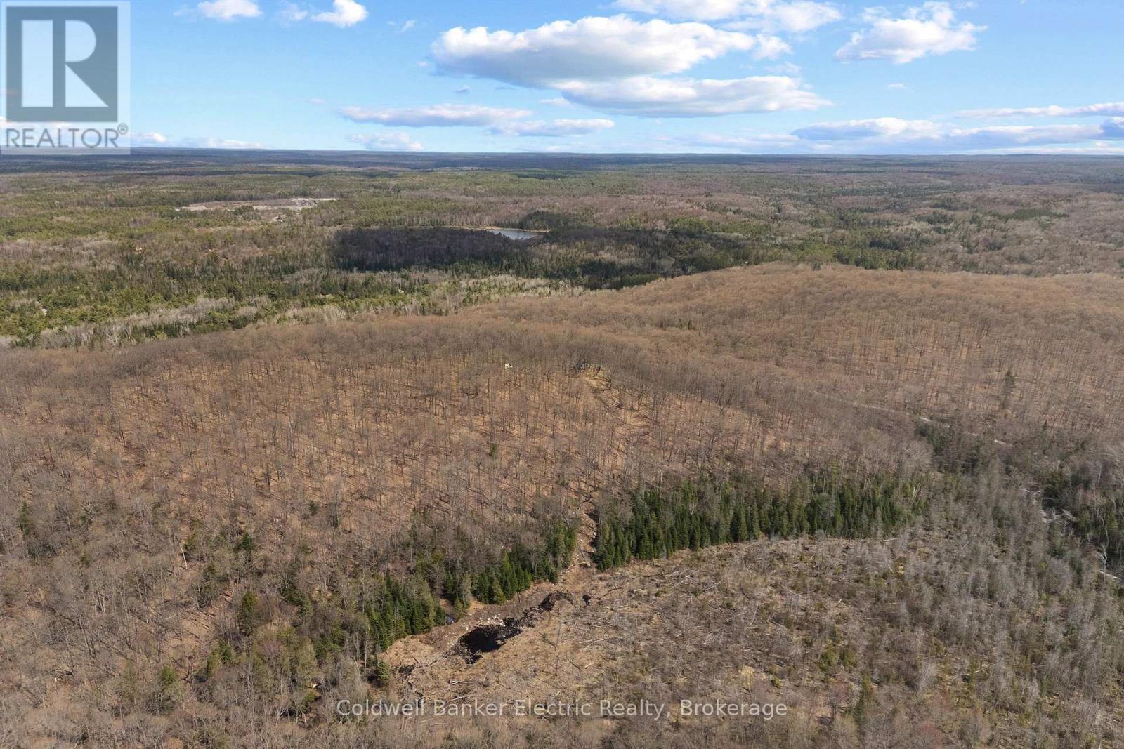 0 Irondale Road, Highlands East, Ontario K0M 2A1 - Photo 7 - X13176188