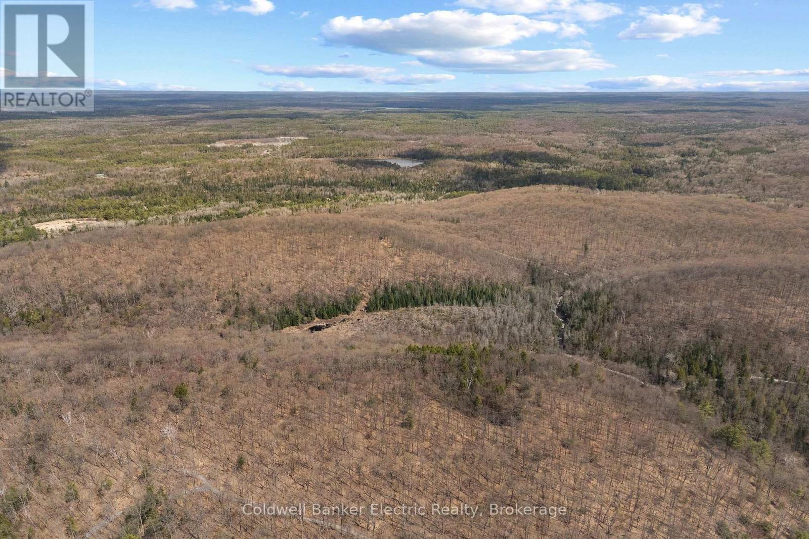 0 Irondale Road, Highlands East, Ontario K0M 2A1 - Photo 9 - X13176188