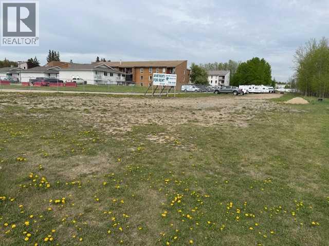4114 Ny, Whitecourt, Alberta  T7S 1M6 - Photo 4 - A2314890