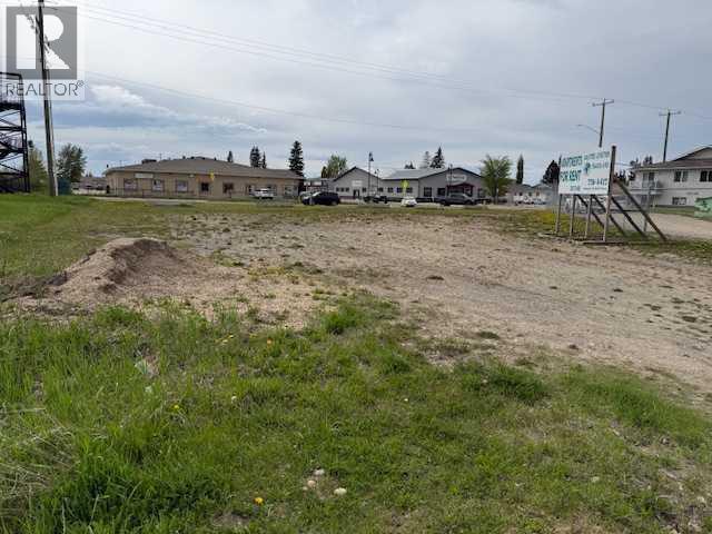 4114 Ny, Whitecourt, Alberta  T7S 1M6 - Photo 5 - A2314890