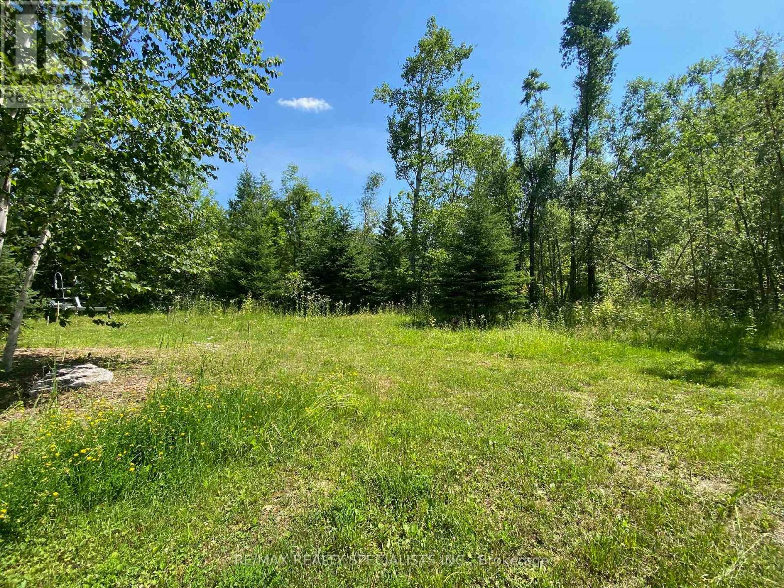 Lt12&13 Otter Road, Kawartha Lakes, Ontario K0M 1K0 - Photo 10 - X13176082