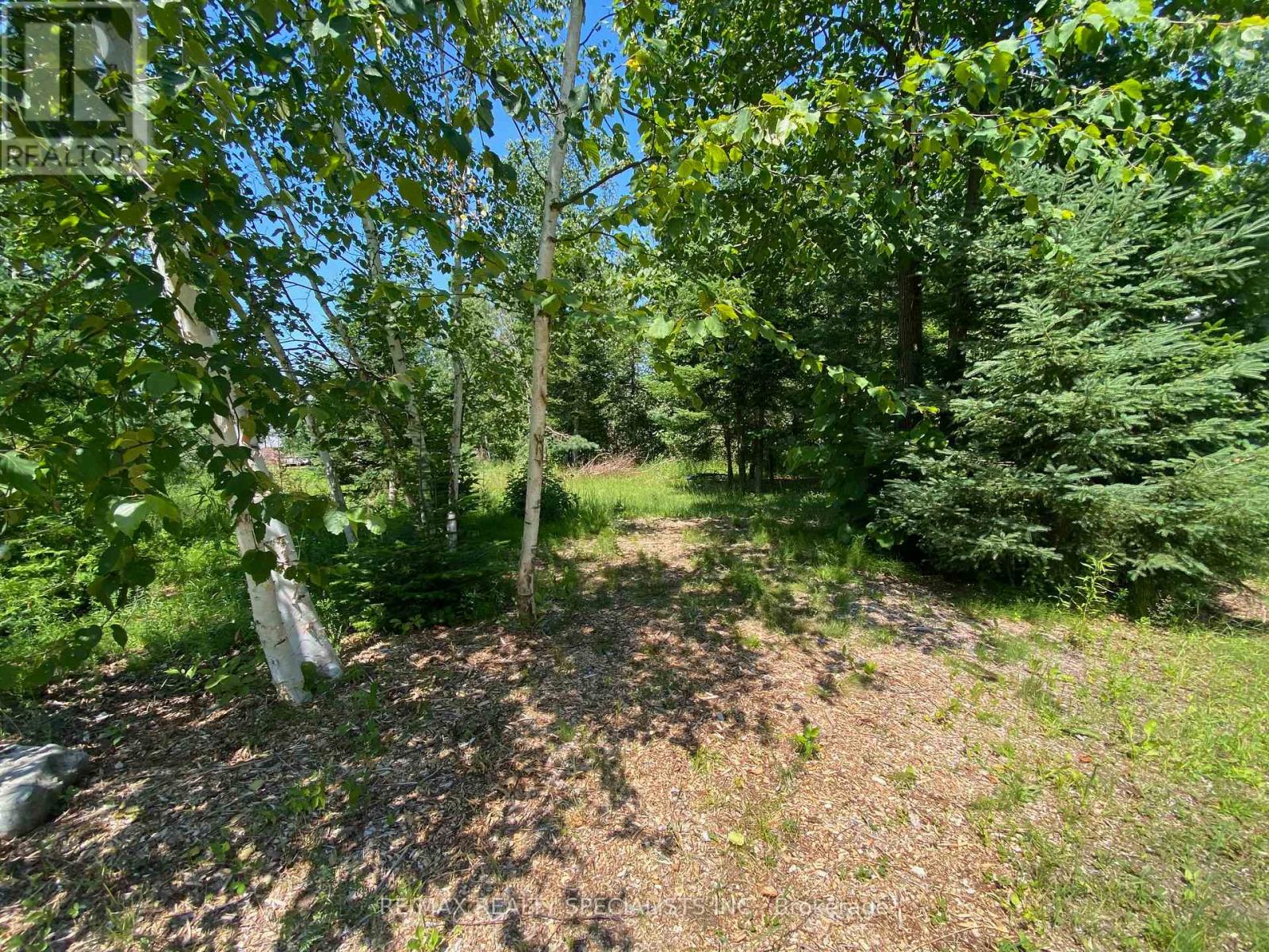 Lt12&13 Otter Road, Kawartha Lakes, Ontario K0M 1K0 - Photo 11 - X13176082