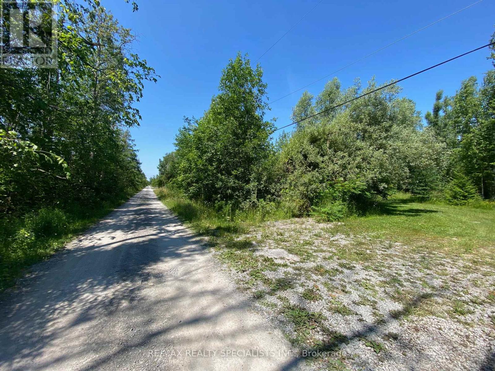 Lt12&13 Otter Road, Kawartha Lakes, Ontario K0M 1K0 - Photo 13 - X13176082