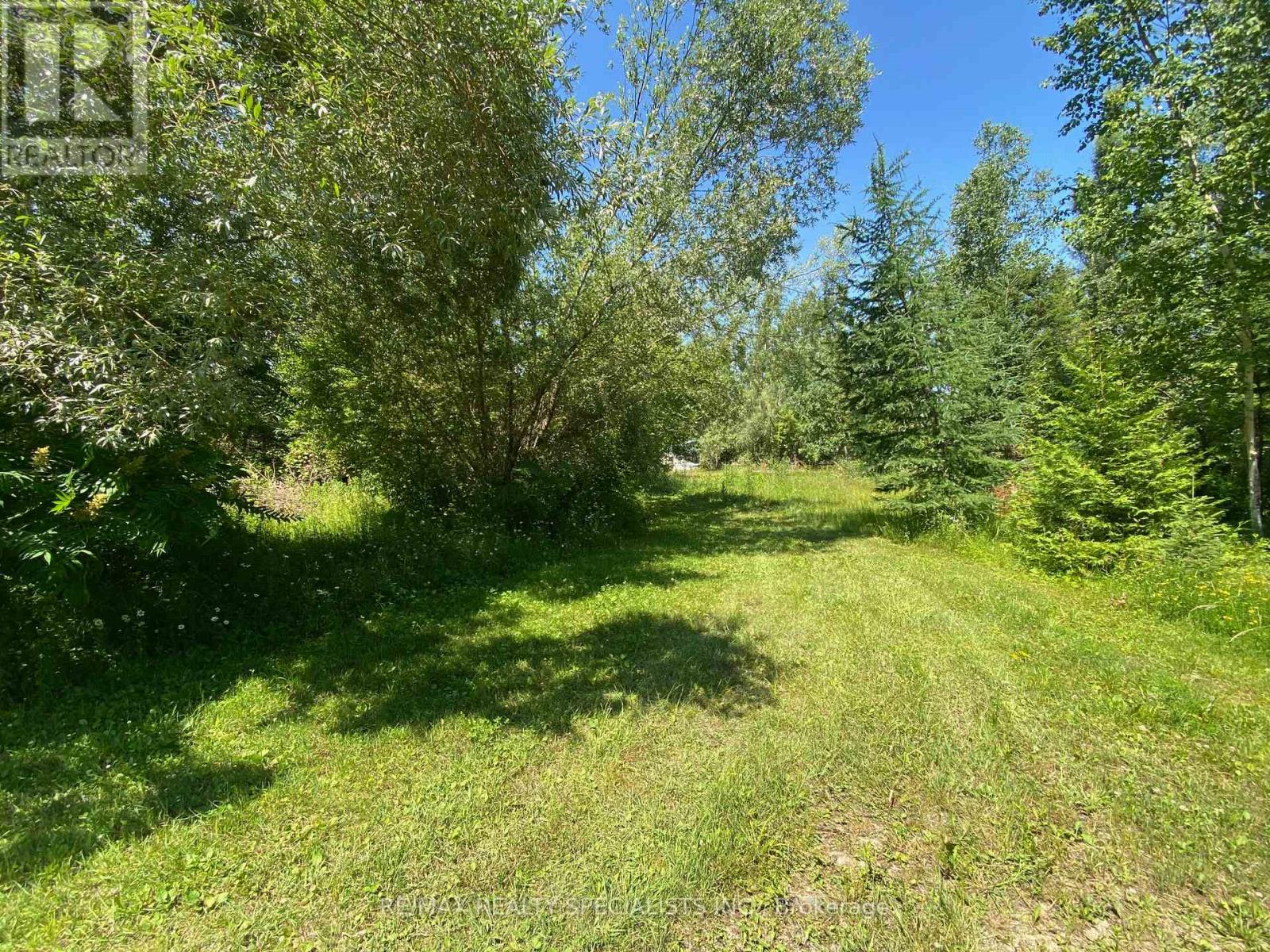 Lt12&13 Otter Road, Kawartha Lakes, Ontario K0M 1K0 - Photo 15 - X13176082