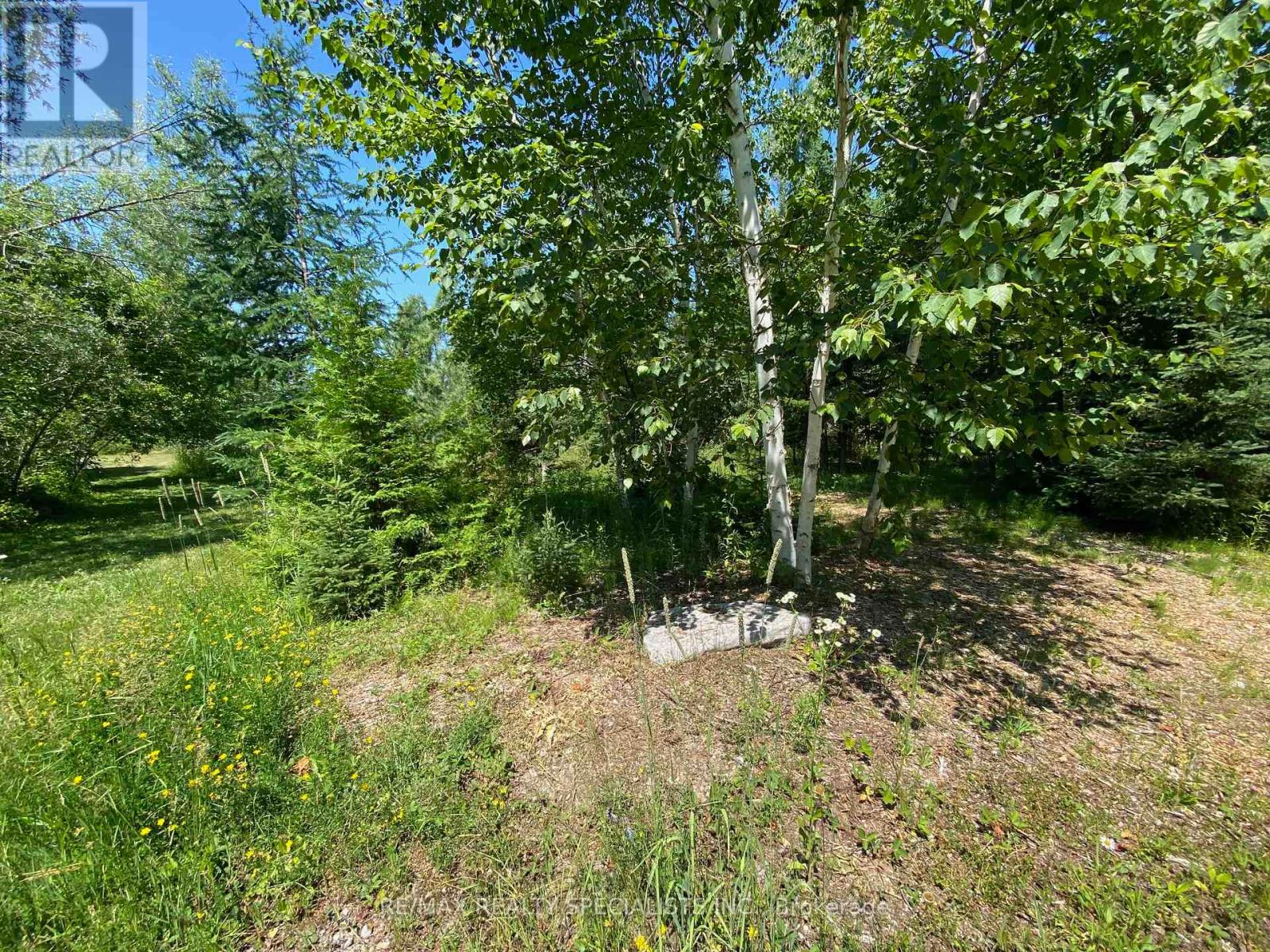 Lt12&13 Otter Road, Kawartha Lakes, Ontario K0M 1K0 - Photo 4 - X13176082
