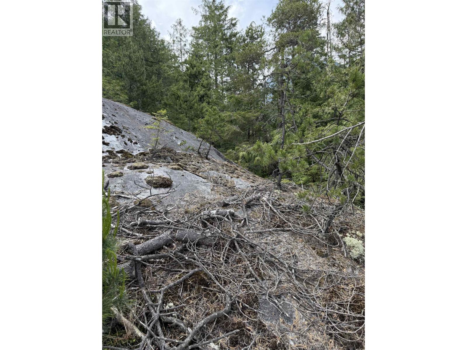 1 South Of Debeck Creek, Pitt Meadows, British Columbia  V0V 0V0 - Photo 12 - R3125879