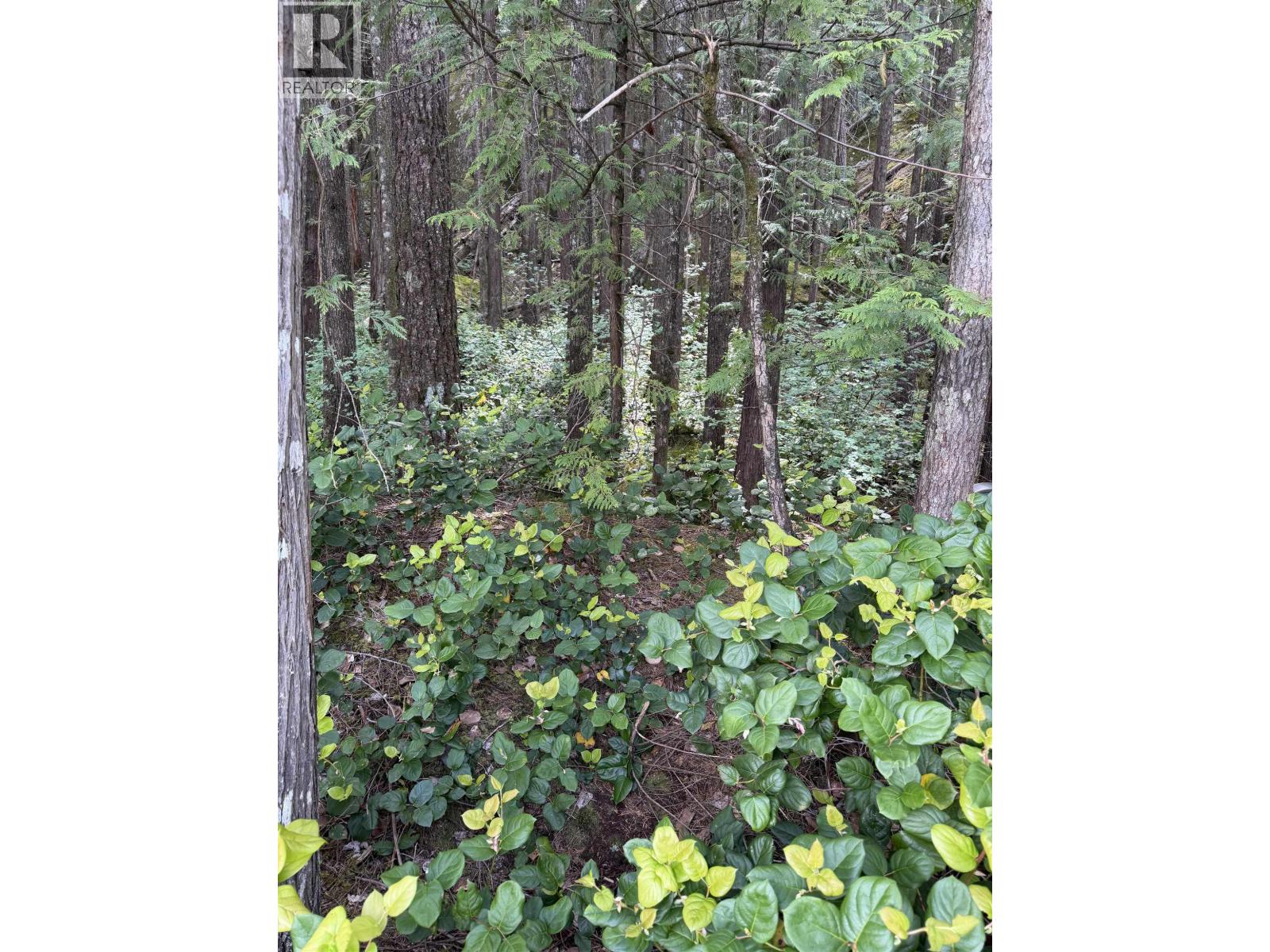 1 South Of Debeck Creek, Pitt Meadows, British Columbia  V0V 0V0 - Photo 23 - R3125879