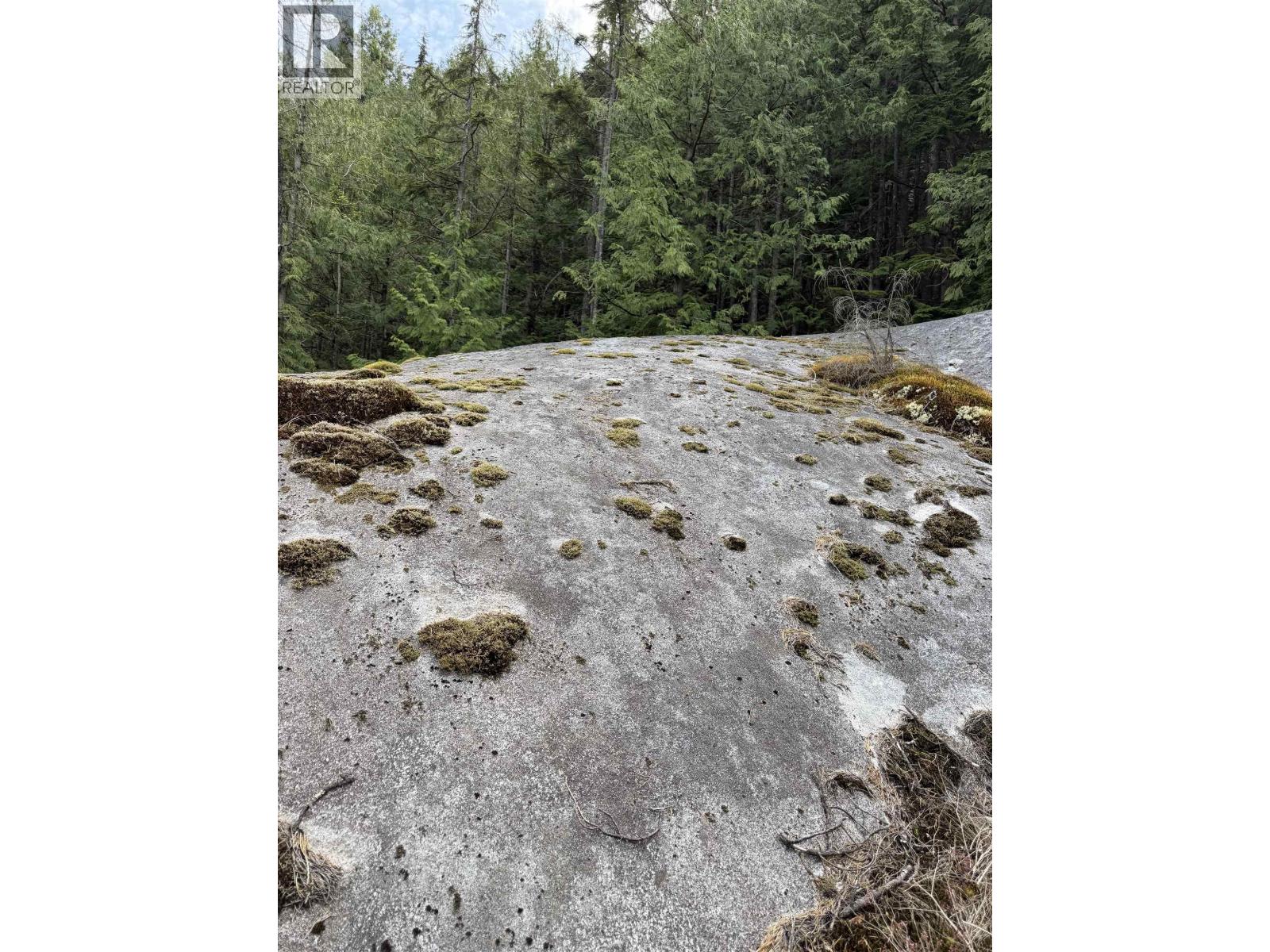 1 South Of Debeck Creek, Pitt Meadows, British Columbia  V0V 0V0 - Photo 13 - R3125879