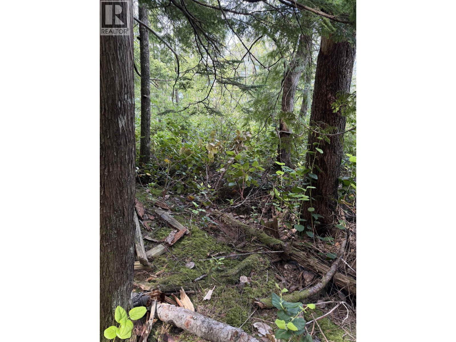 1 South Of Debeck Creek, Pitt Meadows, British Columbia  V0V 0V0 - Photo 21 - R3125879