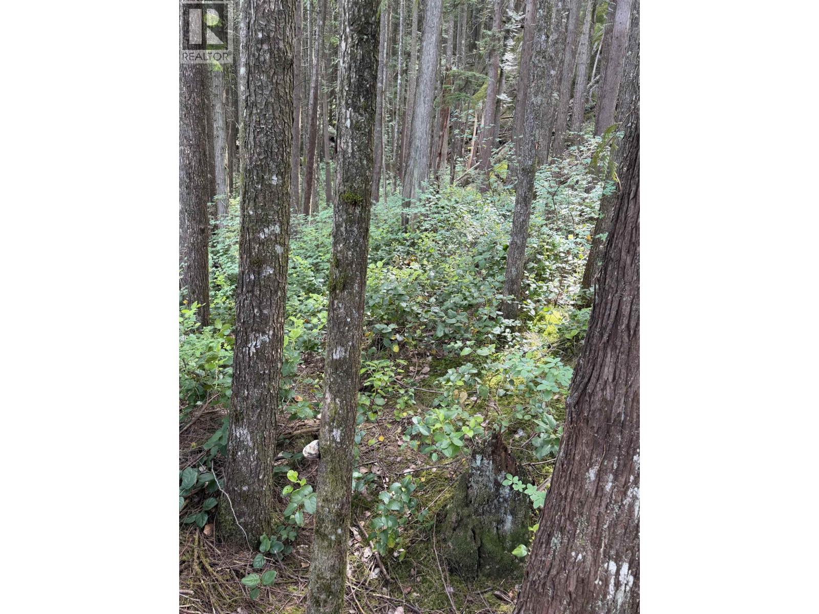 1 South Of Debeck Creek, Pitt Meadows, British Columbia  V0V 0V0 - Photo 22 - R3125879