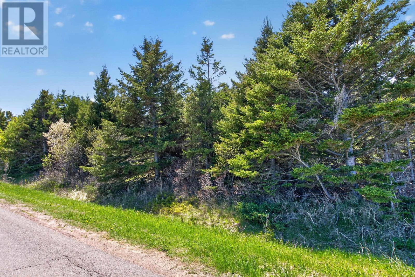 0 King Street, Malpeque, Prince Edward Island  C0B 1M0 - Photo 10 - 202612209