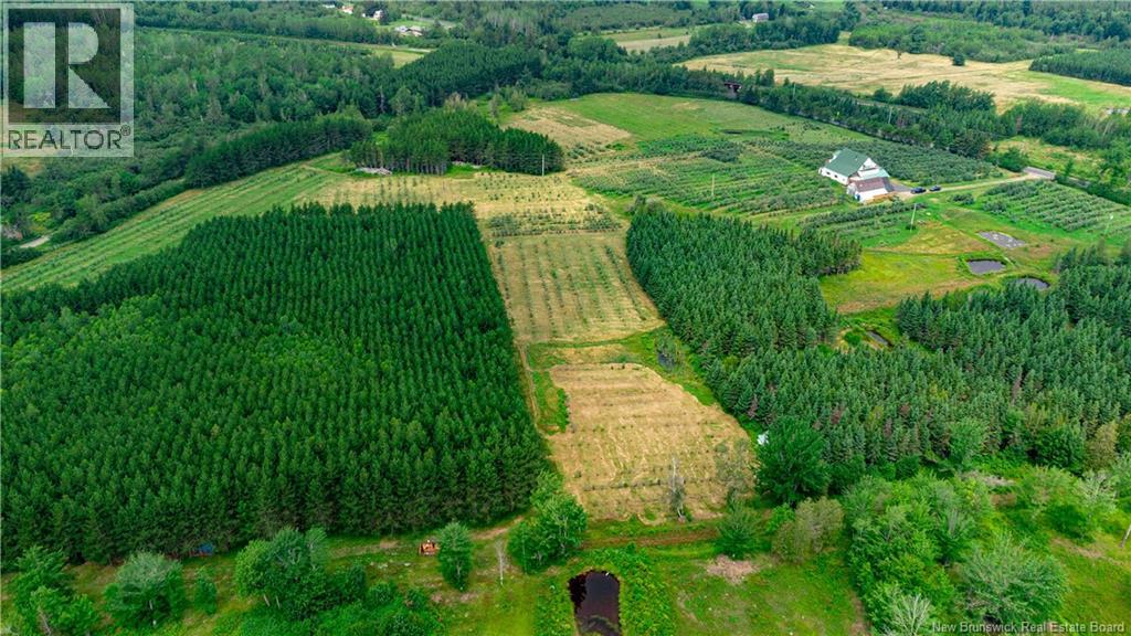 320 Red Bank Road, Chipman, New Brunswick  E4A 2B1 - Photo 4 - NB140385