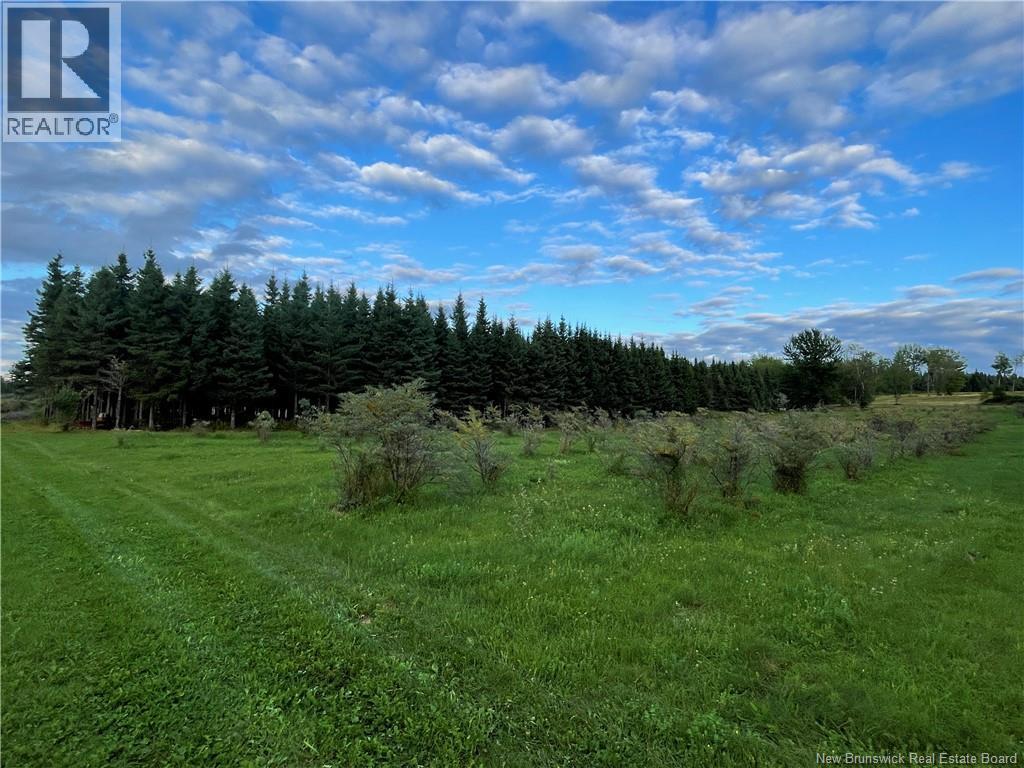 320 Red Bank Road, Chipman, New Brunswick  E4A 2B1 - Photo 49 - NB140383