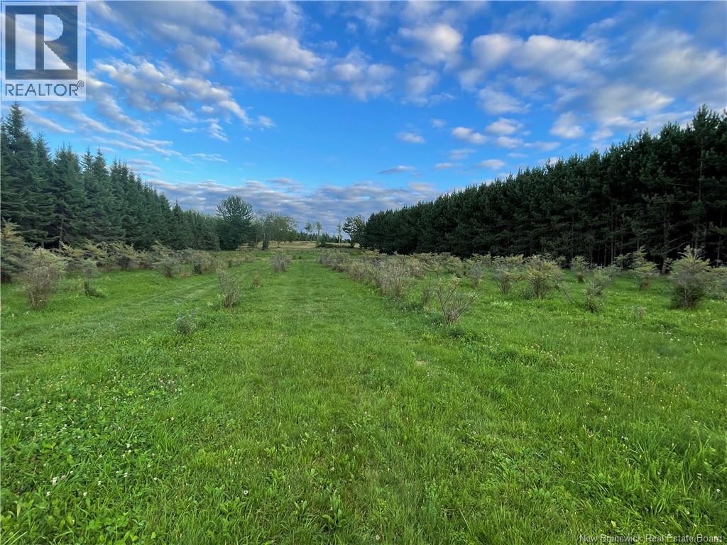 320 Red Bank Road, Chipman, New Brunswick  E4A 2B1 - Photo 50 - NB140383