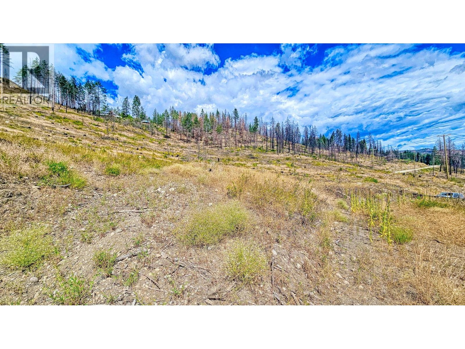 9200 Westside Road Lot# 2, Vernon, British Columbia V1H 2E9 - Photo 13 - 10388965