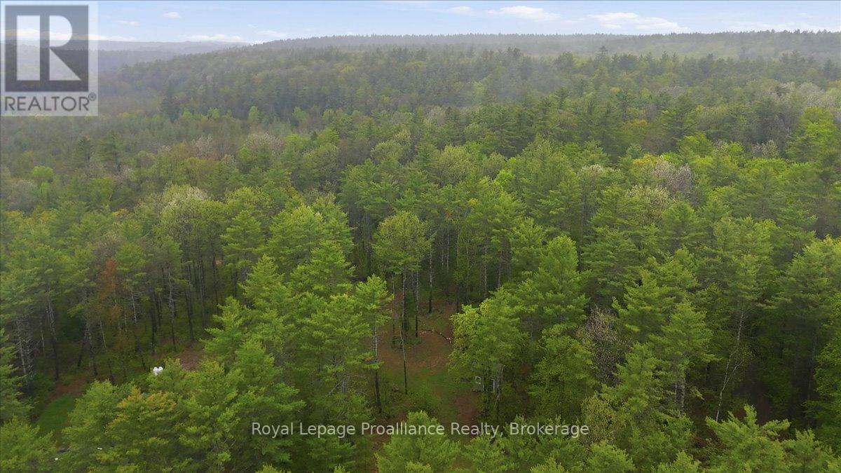 1419 Turtle Lake Lane, Frontenac, Ontario  K0H 2M0 - Photo 11 - X13176518