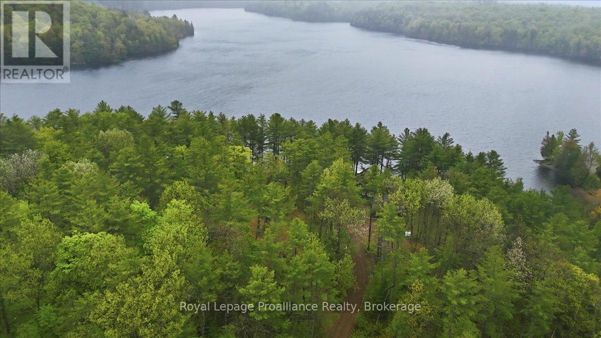 1419 Turtle Lake Lane, Frontenac, Ontario  K0H 2M0 - Photo 12 - X13176518