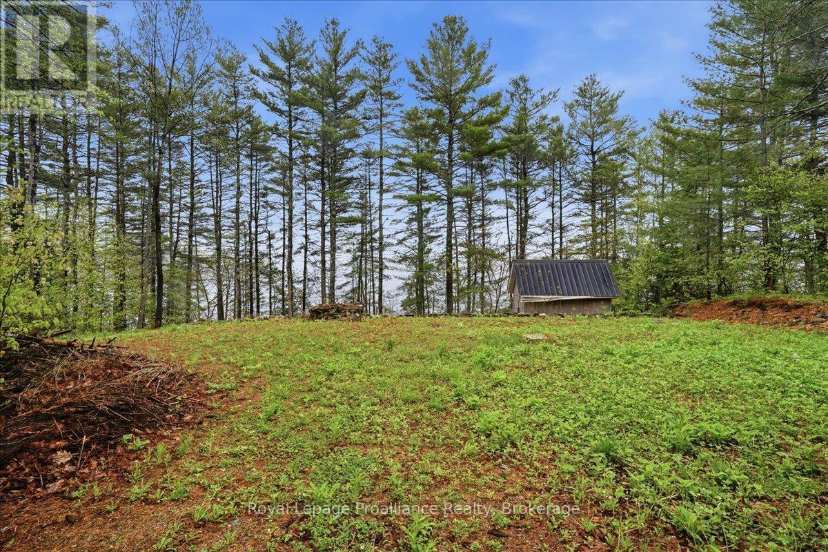 1419 Turtle Lake Lane, Frontenac, Ontario  K0H 2M0 - Photo 15 - X13176518