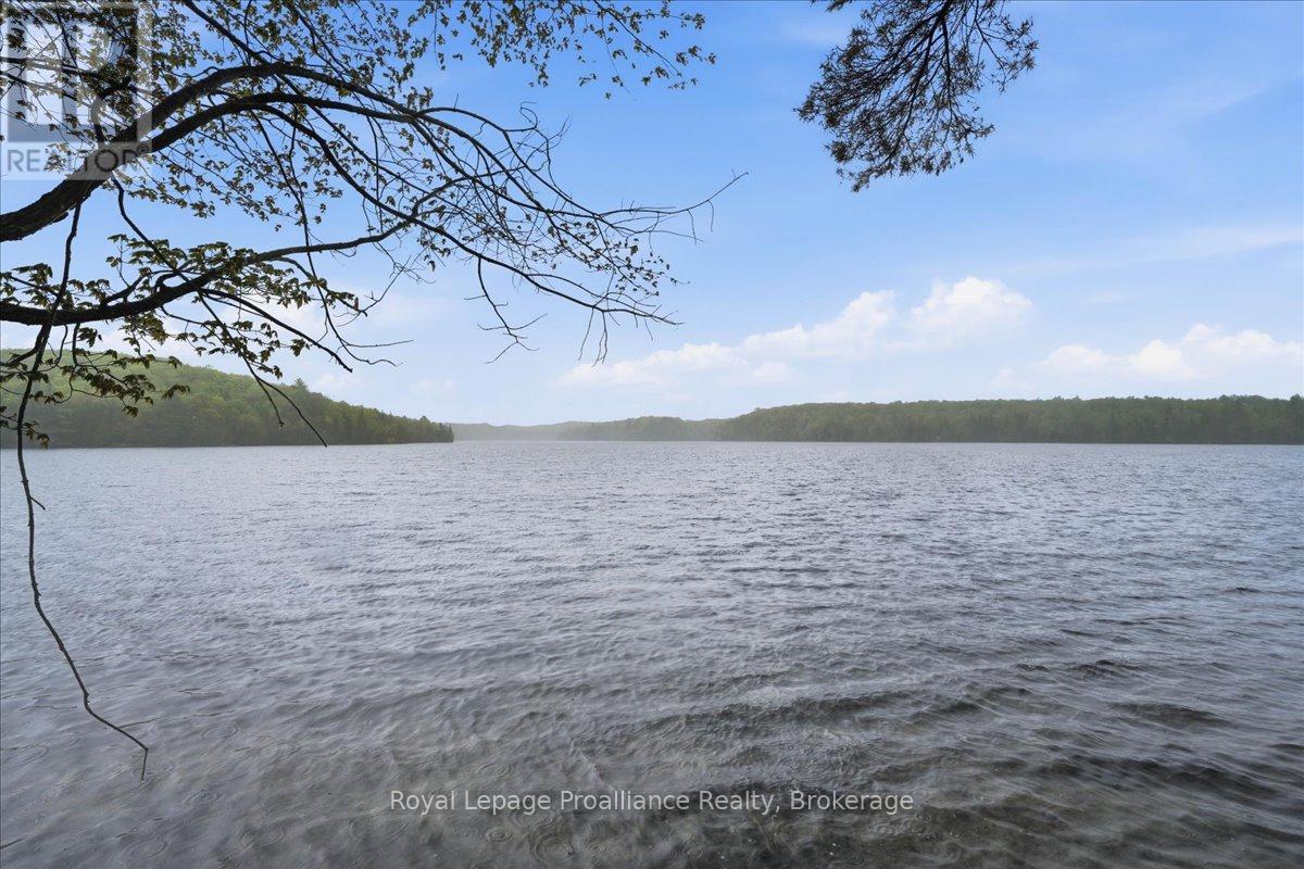 1419 Turtle Lake Lane, Frontenac, Ontario  K0H 2M0 - Photo 19 - X13176518