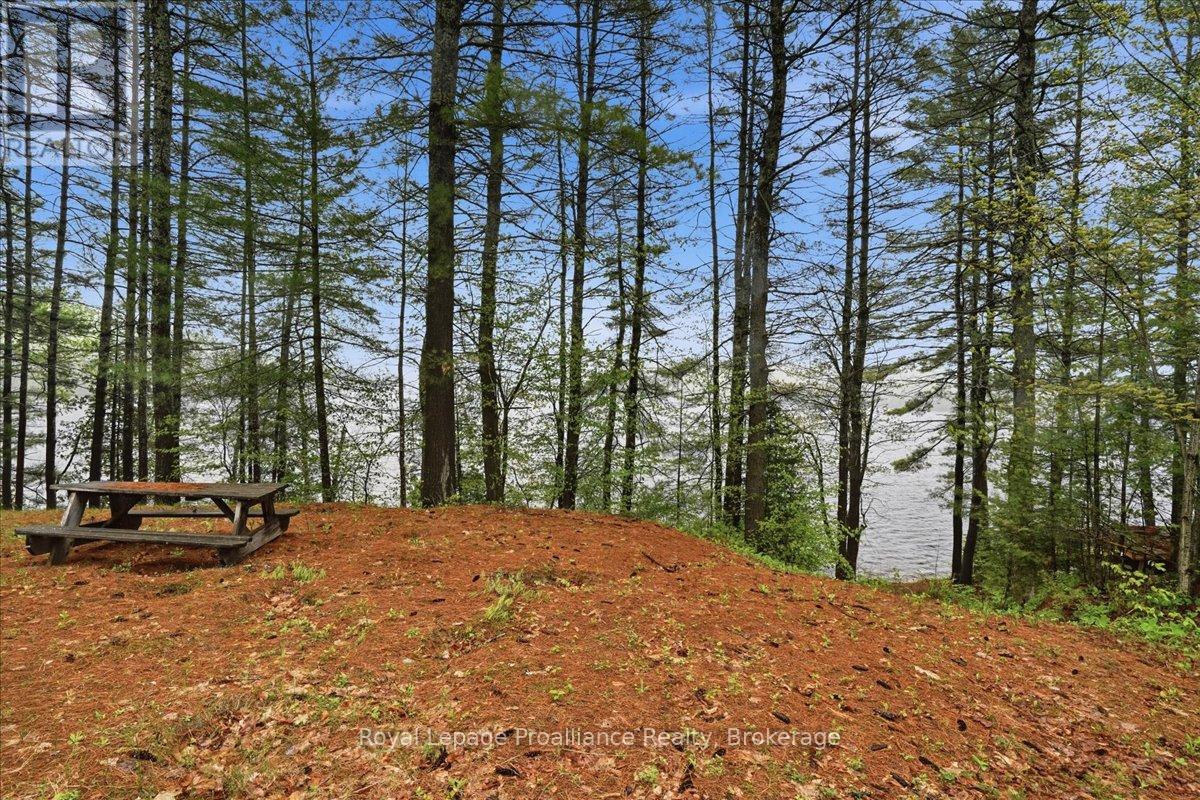 1419 Turtle Lake Lane, Frontenac, Ontario  K0H 2M0 - Photo 6 - X13176518