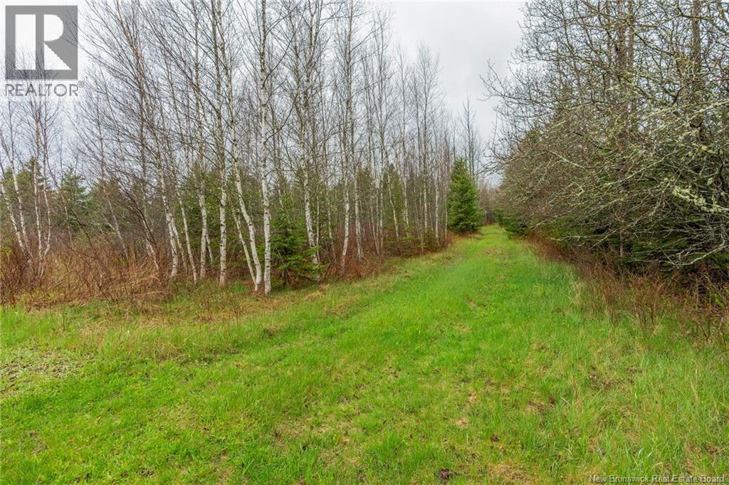 300 Brooklyn Road, Midgic, New Brunswick  E4L 1W3 - Photo 36 - NB140342