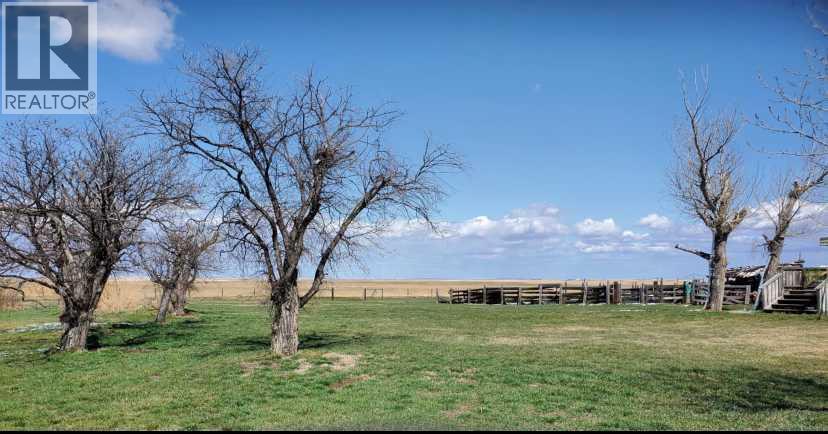 142043b Rr254, Rural Willow Creek No. 26, Alberta  T0L 1Z0 - Photo 13 - A2278274